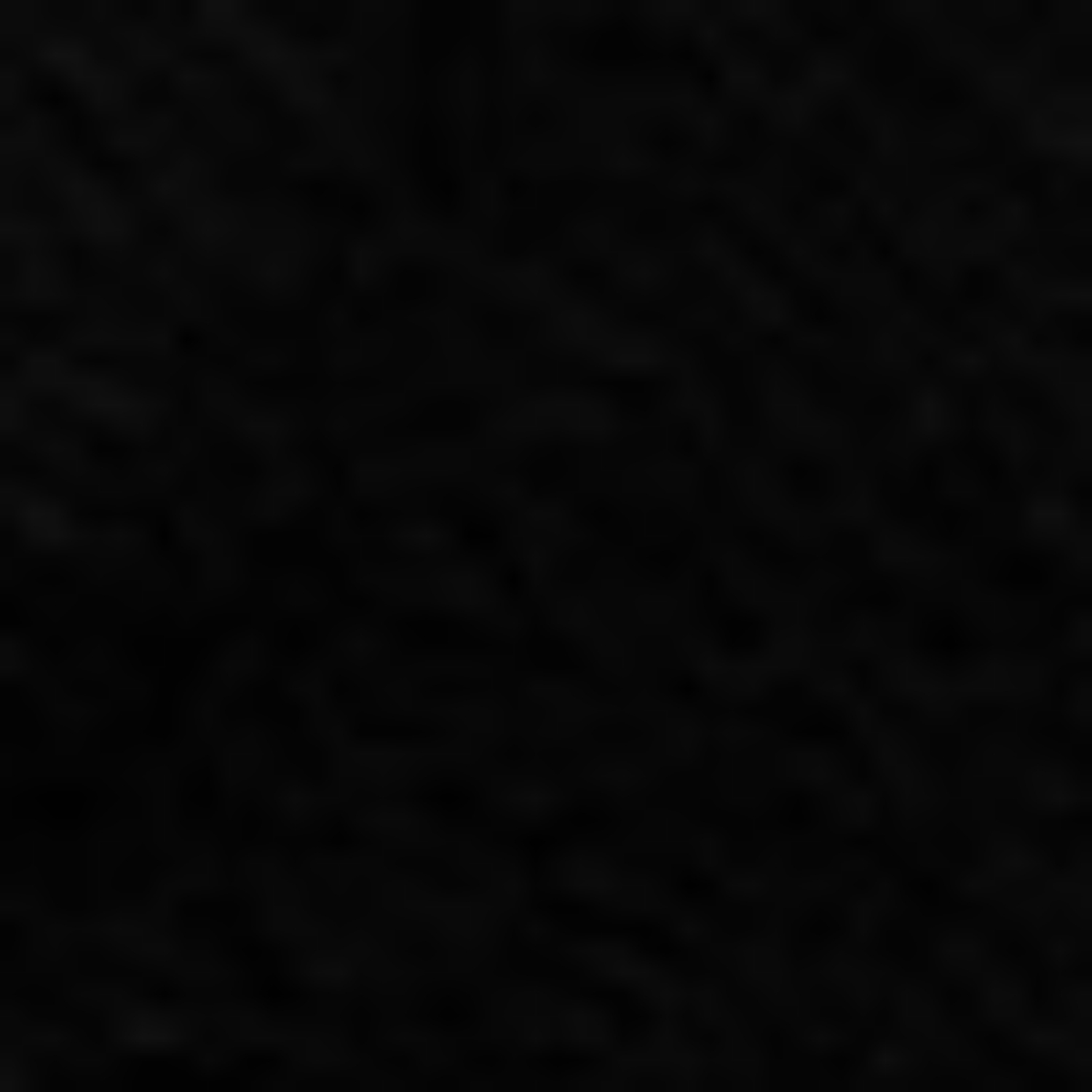 Снимка на Дамски ботуши 6497 CAMOSCIO+STRETCH NEGRU