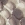 Picture of 58 PITONE ROCCIA