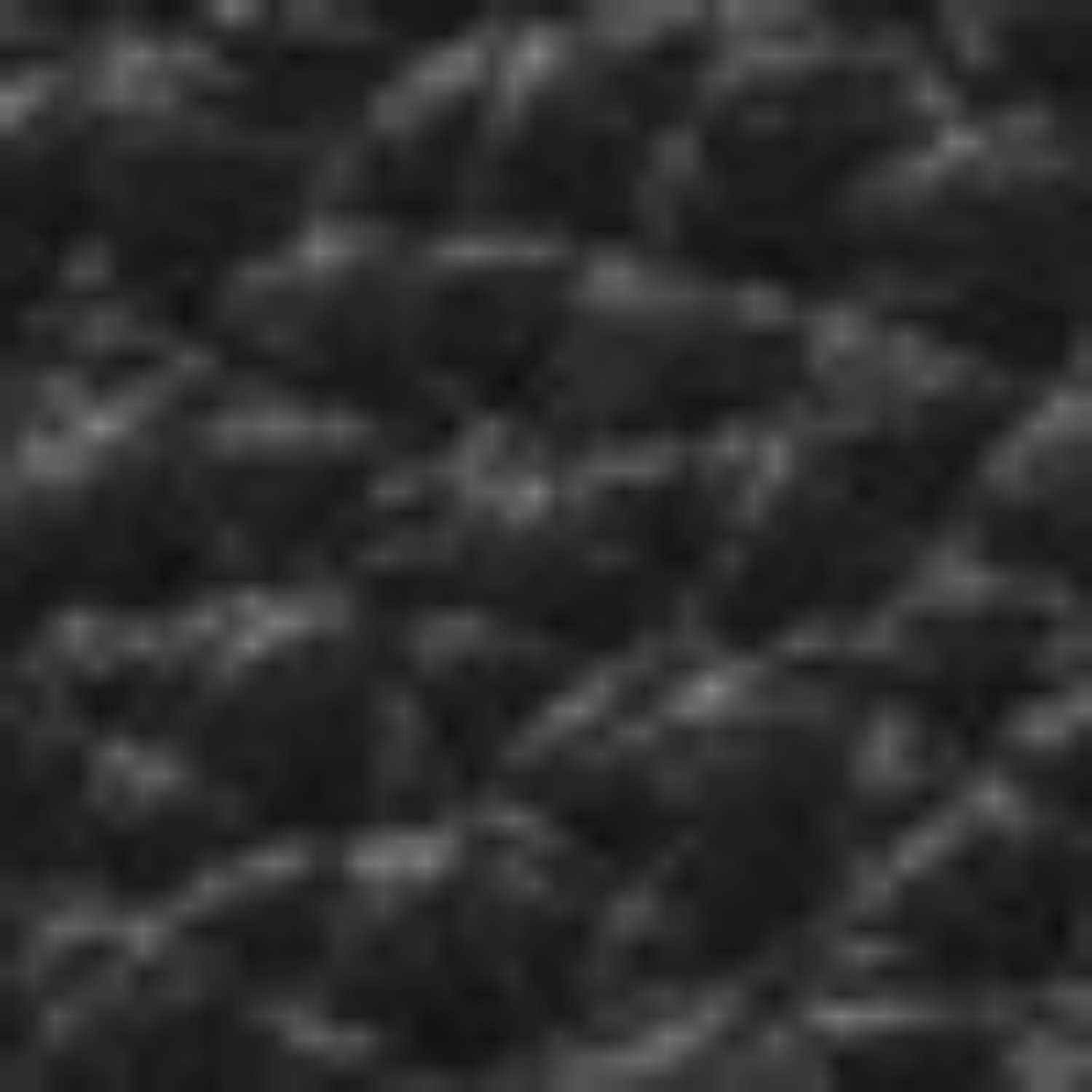 Снимка на ЧАНТА МЪЖКА CARLOS BOTTALATO NEGRU