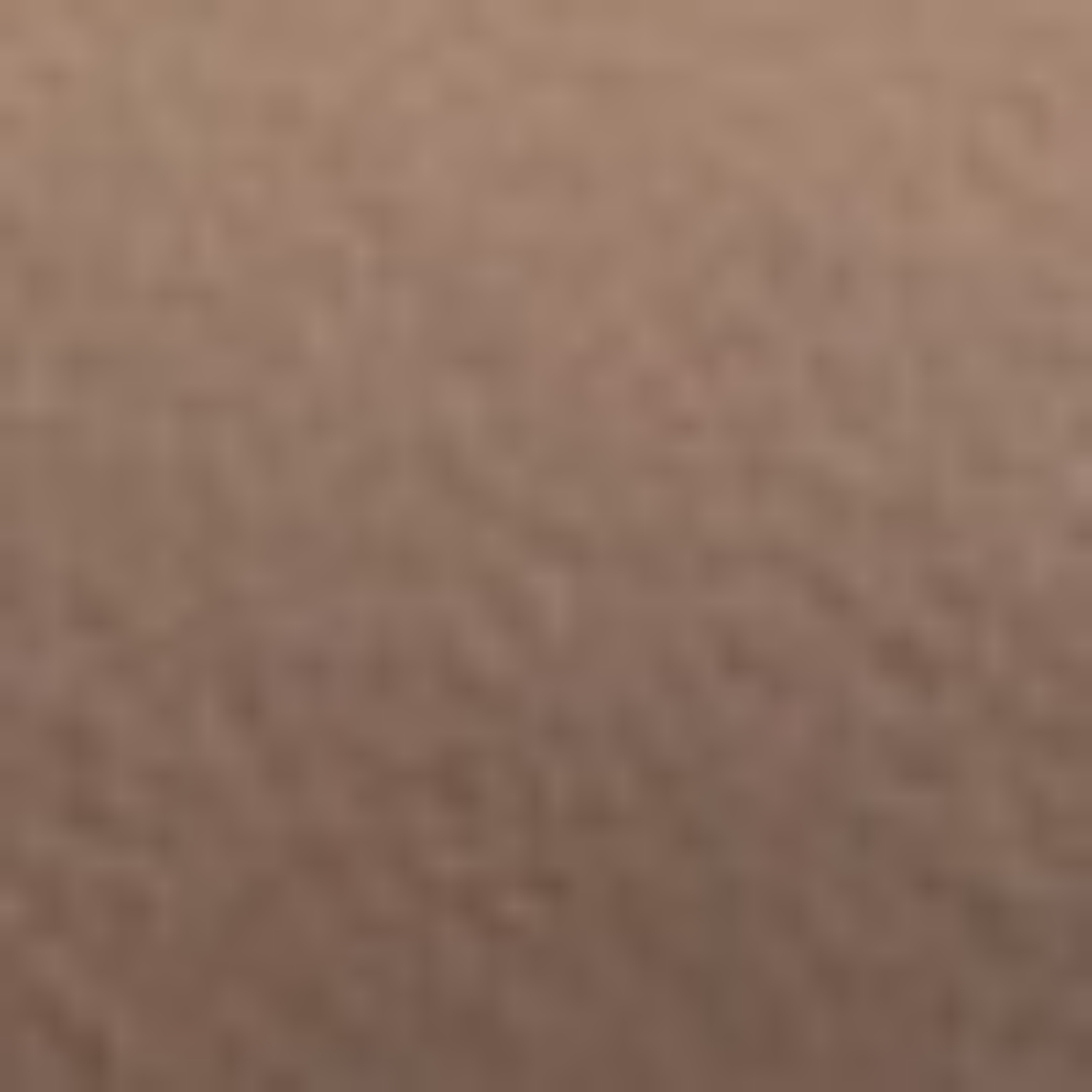 Снимка на Дамски балерини 7518 Vitello Taupe