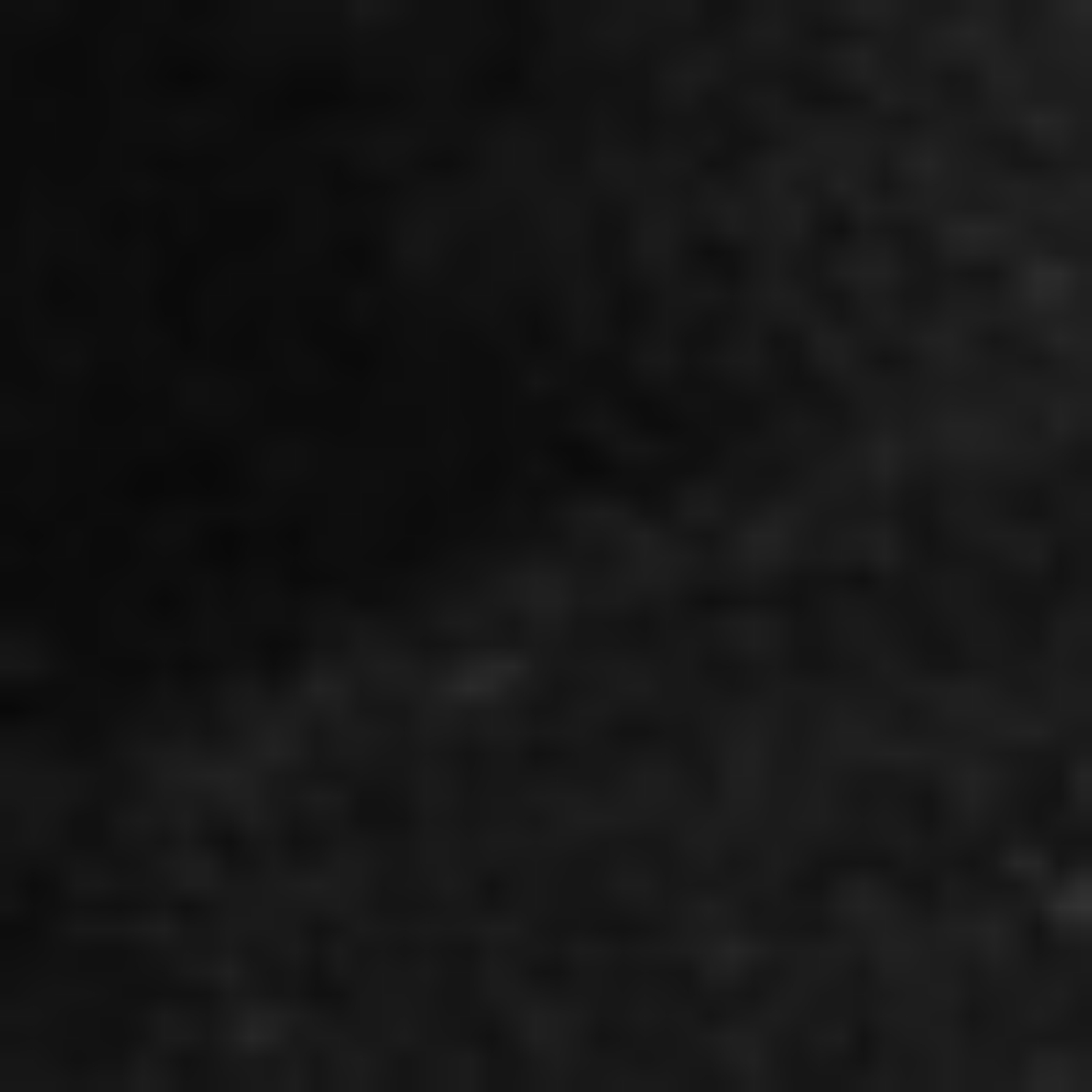 Снимка на Sandale Dama 8029 Camoscio Negru