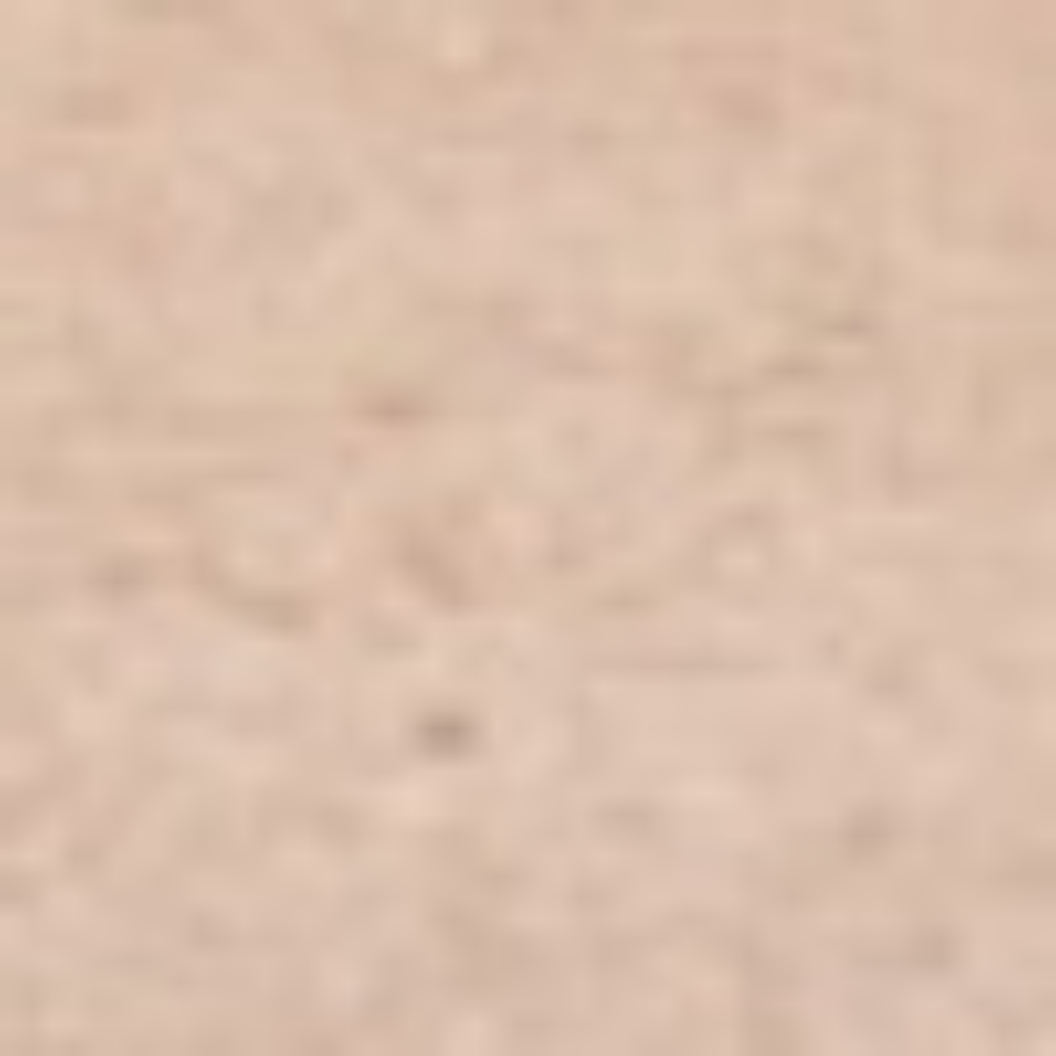 Снимка на Сандали Дама 8030 Camoscio Bej