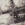 Picture of 7528 Pytone Roccia