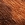 Picture of CASEY 01 CAVALINO LEOPARD